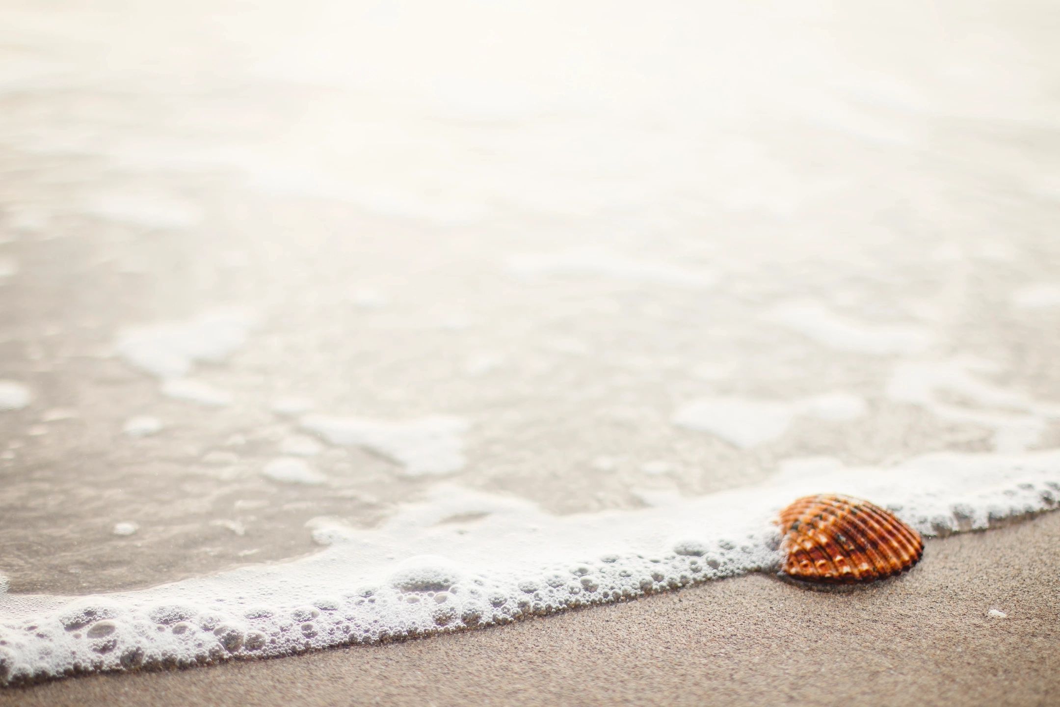 A calm shoreline representing steady ground and clarity returning